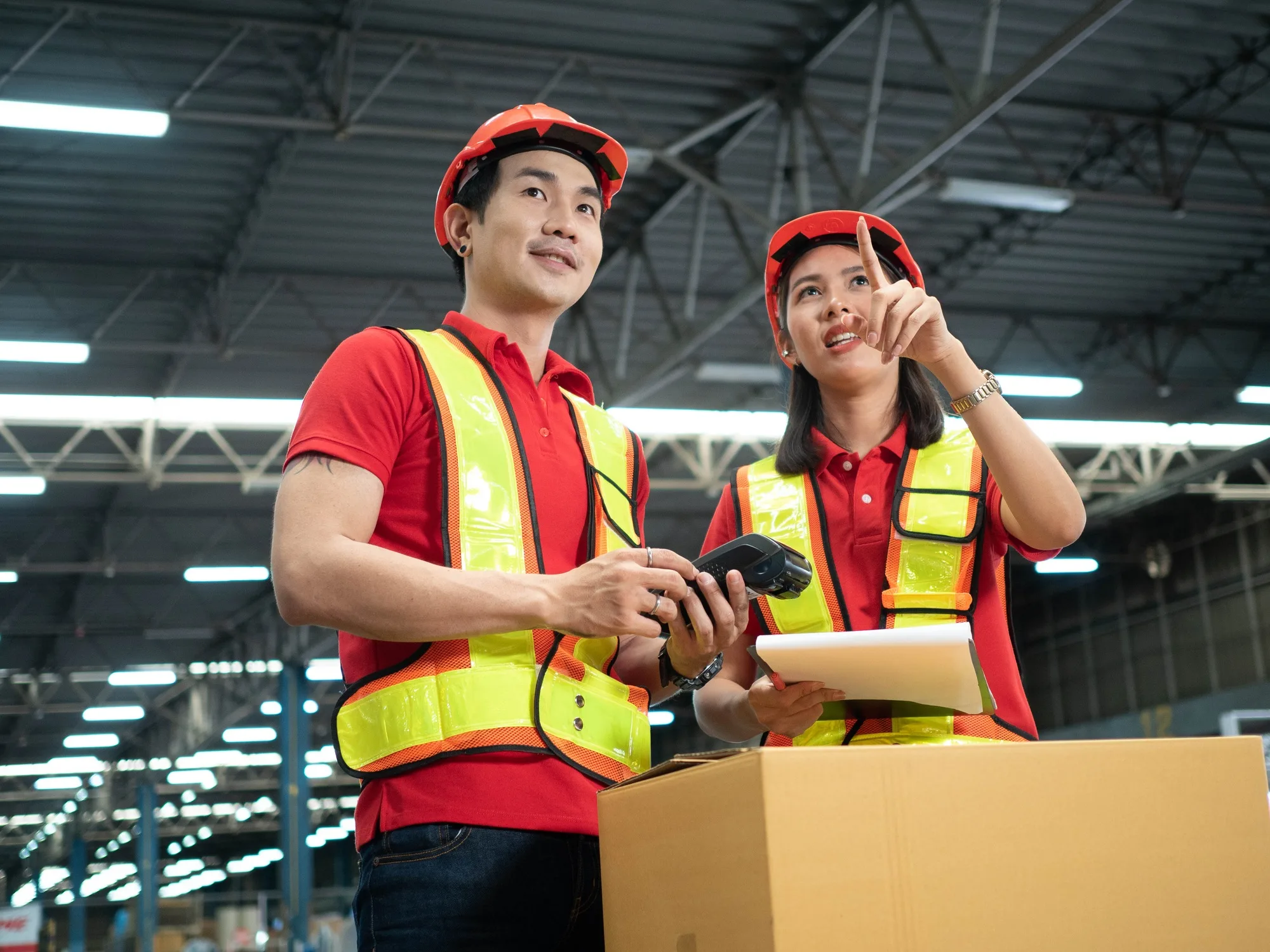 Reliable transport and removal services